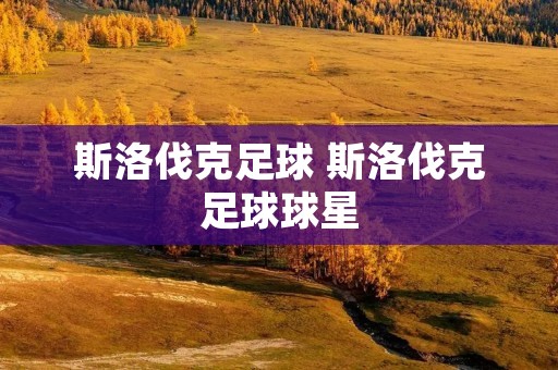 斯洛伐克足球 斯洛伐克足球球星 斯洛伐克足球 斯洛伐克足球球星