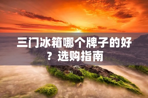 三门冰箱哪个牌子的好?选购指南 三门冰箱哪个牌子的好?选购指南