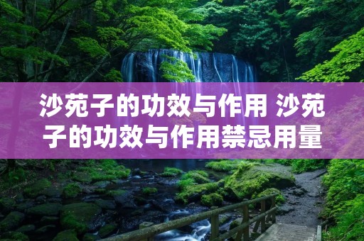沙苑子的功效与作用 沙苑子的功效与作用禁忌用量