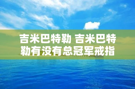 吉米巴特勒 吉米巴特勒有没有总冠军戒指