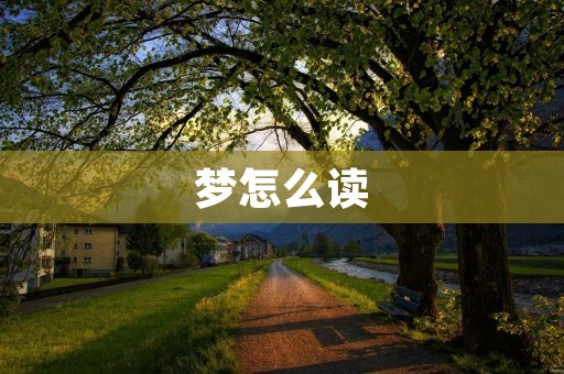 梦怎么读