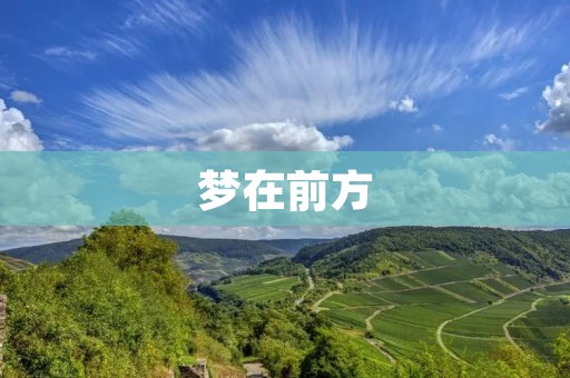 梦在前方:努力奋斗的人生旅程