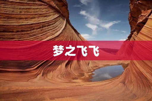 梦之飞飞:一位追逐梦想的年轻人
