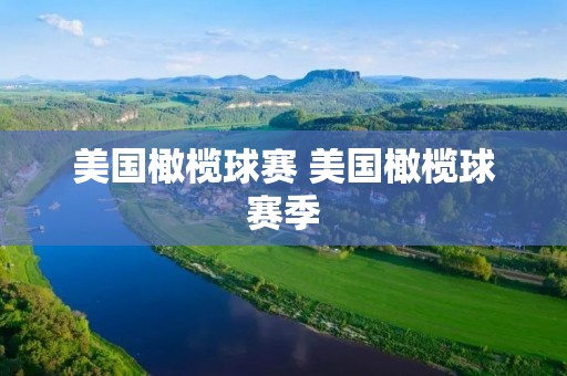 美国橄榄球赛 美国橄榄球赛季
