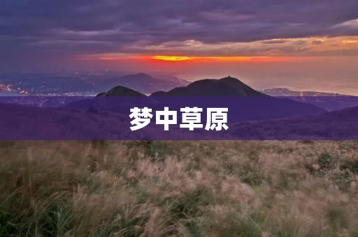 梦中草原:一场奇妙的心灵之旅