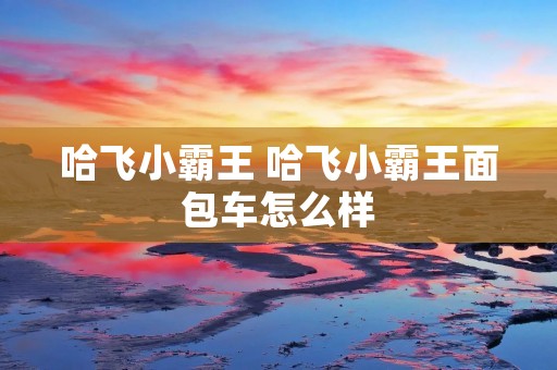 哈飞小霸王 哈飞小霸王面包车怎么样 哈飞小霸王 哈飞小霸王面包车怎么样