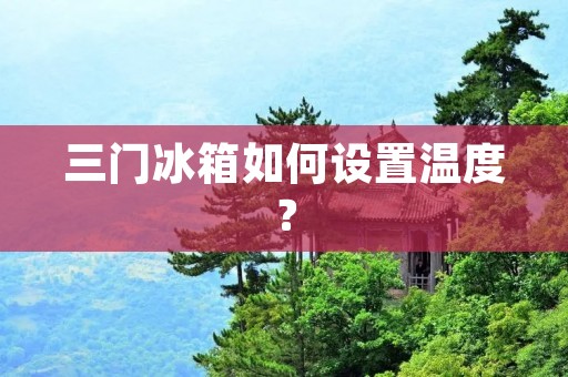 三门冰箱如何设置温度？