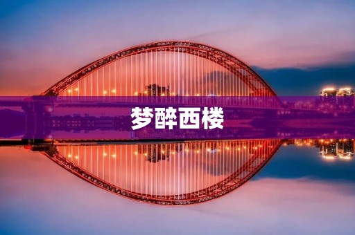 梦醉西楼:一场艳遇与迷失的绝美夜晚