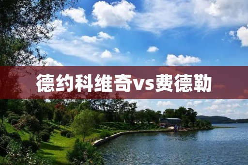 德约科维奇vs费德勒:网球巨星之间的较量 德约科维奇vs费德勒:网球巨星之间的较量