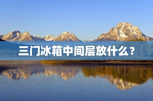 三门冰箱中间层放什么? 三门冰箱中间层放什么?