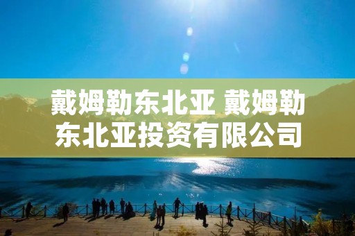 戴姆勒东北亚 戴姆勒东北亚投资有限公司 戴姆勒东北亚 戴姆勒东北亚投资有限公司