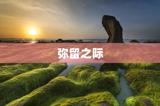 弥留之际:生命尽头的瞬间