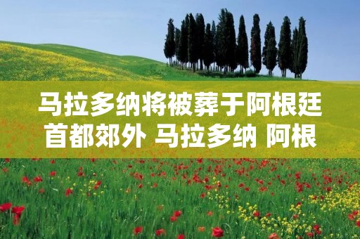 马拉多纳将被葬于阿根廷首都郊外 马拉多纳 阿根廷哀悼