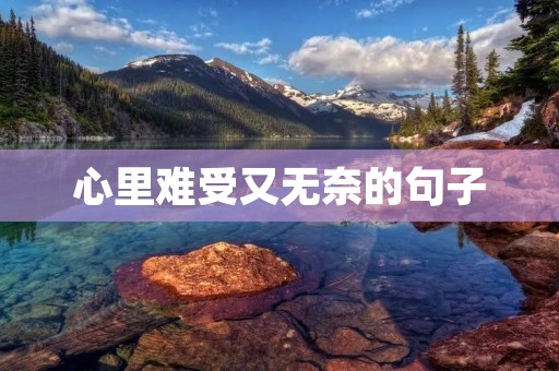心里难受又无奈的句子