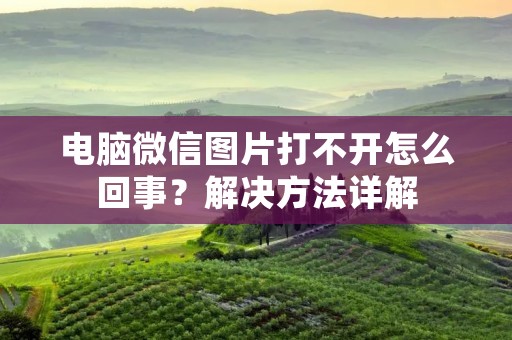 电脑微信图片打不开怎么回事?解决方法详解