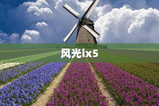 风光ix5：独具魅力的豪华SUV之选