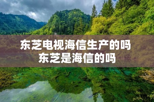 东芝电视海信生产的吗 东芝是海信的吗 东芝电视海信生产的吗 东芝是海信的吗