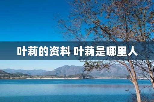 叶莉的资料 叶莉是哪里人