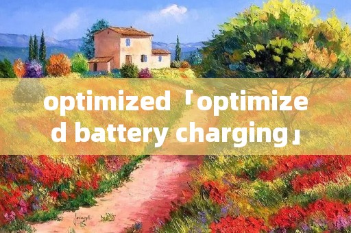optimized「optimized battery charging」 optimized「optimized battery charging」