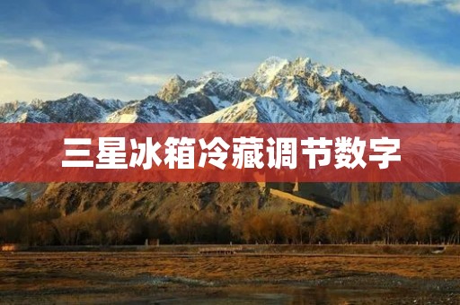 三星冰箱冷藏调节数字:提升冷藏效果的智能选择 三星冰箱冷藏调节数字:提升冷藏效果的智能选择