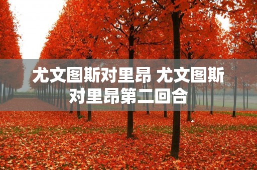 尤文图斯对里昂 尤文图斯对里昂第二回合