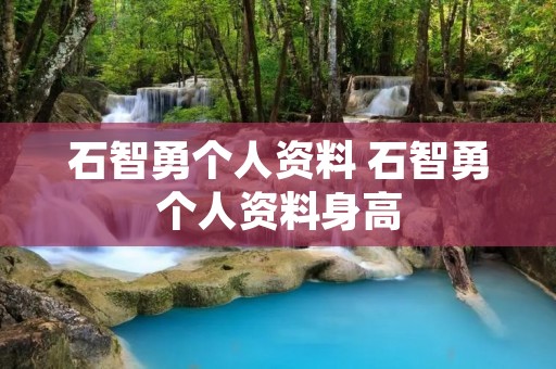石智勇个人资料 石智勇个人资料身高