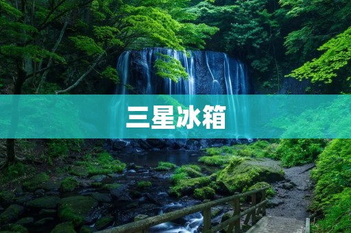 三星冰箱：合资品牌的成功之路
