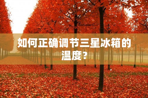 如何正确调节三星冰箱的温度？