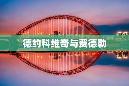 德约科维奇与费德勒：两位传奇之间的较量