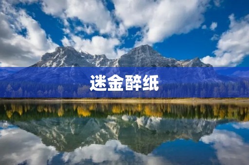 迷金醉纸:一种独特的文化艺术表达方式