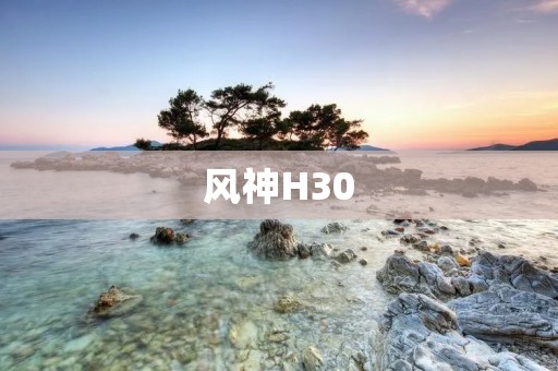 风神H30:豪华与性能的完美结合 风神H30:豪华与性能的完美结合