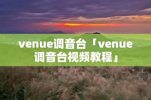 venue调音台「venue调音台视频教程」
