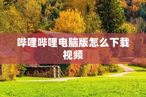 哔哩哔哩电脑版怎么下载视频
