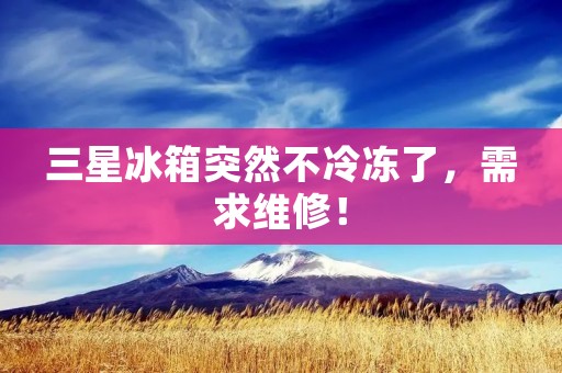 三星冰箱突然不冷冻了,需求维修! 三星冰箱突然不冷冻了,需求维修!
