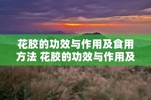 花胶的功效与作用及食用方法 花胶的功效与作用及食用方法视频 花胶的功效与作用及食用方法 花胶的功效与作用及食用方法视频