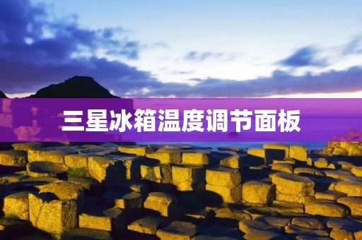 三星冰箱温度调节面板:一键掌控冰箱内温度的智能神器 三星冰箱温度调节面板:一键掌控冰箱内温度的智能神器