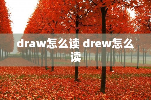 draw怎么读 drew怎么读