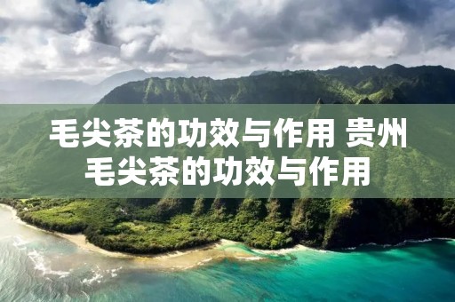 毛尖茶的功效与作用 贵州毛尖茶的功效与作用