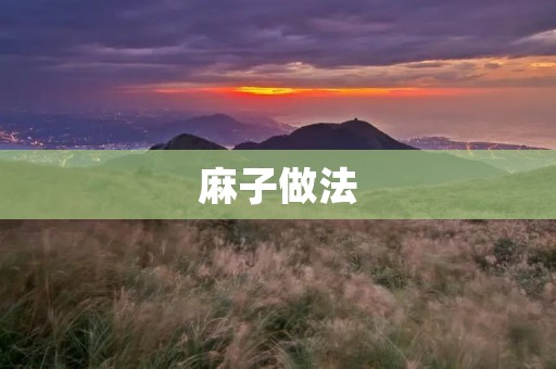 麻子做法:口感酥脆,香气四溢的美味小吃 麻子做法:口感酥脆,香气四溢的美味小吃