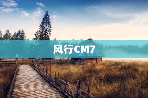 风行CM7:开启智能出行新时代 风行CM7:开启智能出行新时代