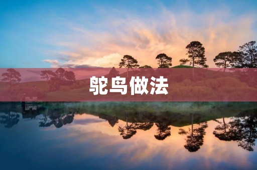 鸵鸟做法:鸵鸟肉的独特烹饪方式 鸵鸟做法:鸵鸟肉的独特烹饪方式