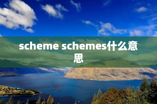 scheme schemes什么意思