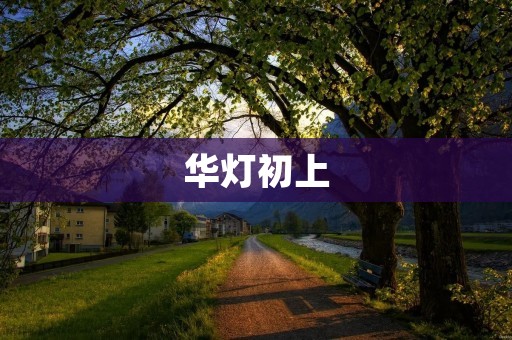 华灯初上：繁华都市的夜晚绚丽绽放