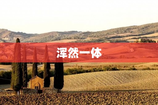 浑然一体：探索和谐共生的境界