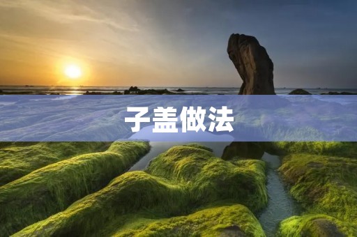 子盖做法:传统美味的中国糕点 子盖做法:传统美味的中国糕点