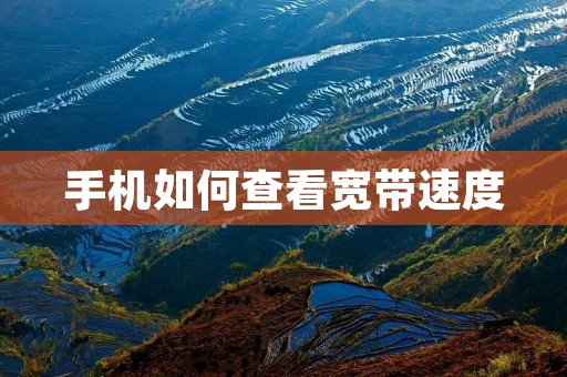 手机如何查看宽带速度