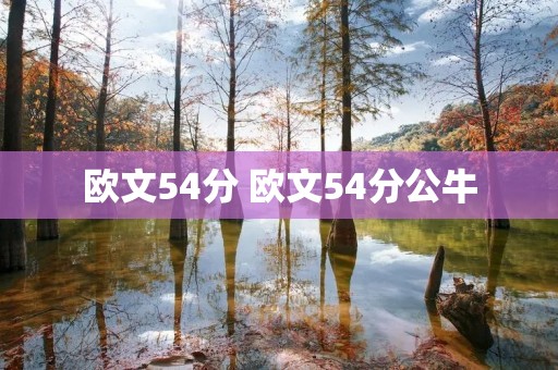 欧文54分 欧文54分公牛