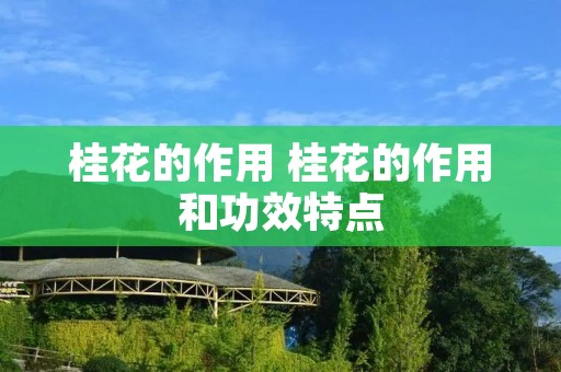 桂花的作用 桂花的作用和功效特点 桂花的作用 桂花的作用和功效特点