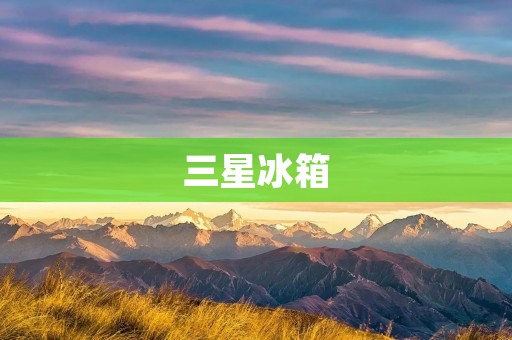 三星冰箱:品质与创新的完美结合