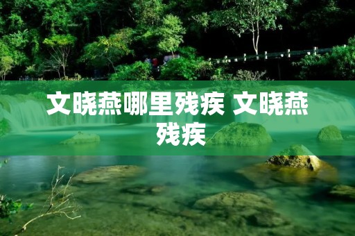 文晓燕哪里残疾 文晓燕 残疾